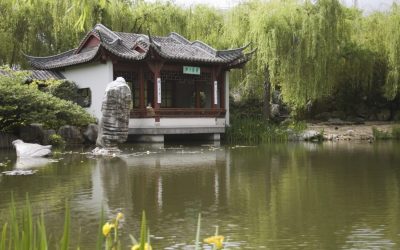 Chinese botannical gardens_NSW_947388_Large