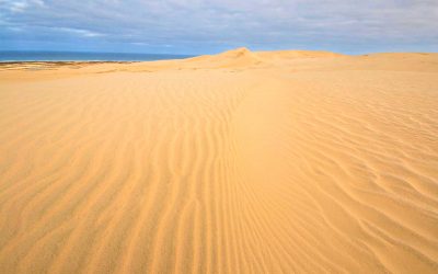 Dunes-North-Island