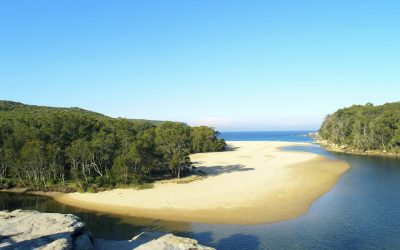 A tropical beach in Sydney National Park