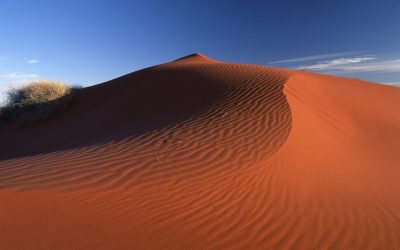 Red sand dunes desert_NT_42072192_Large