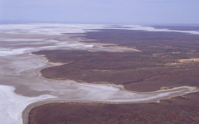0-44658 south australia scenes lake eyre giant salt lake aerial